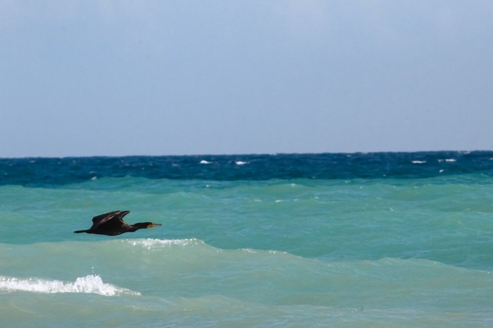 Photograph by Khosro Judi