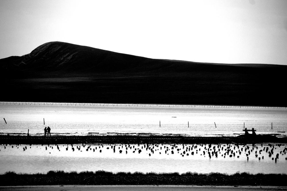 Photograph by Марина