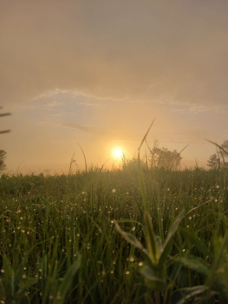 Photograph by #kovalenLife