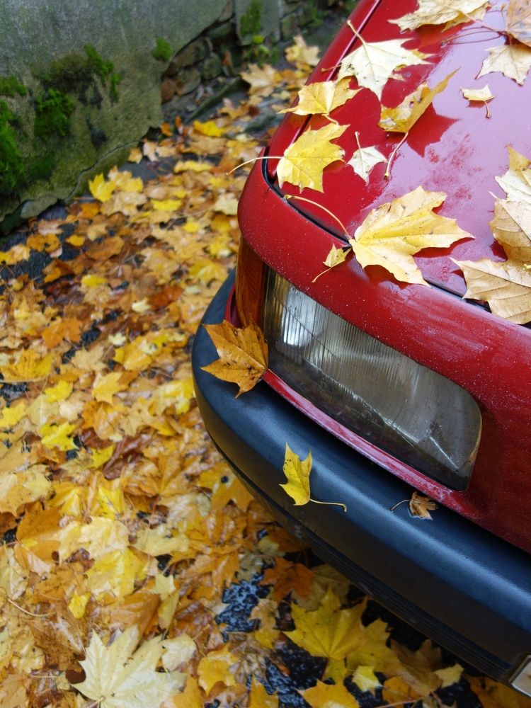 Photograph by Василий Селиванов