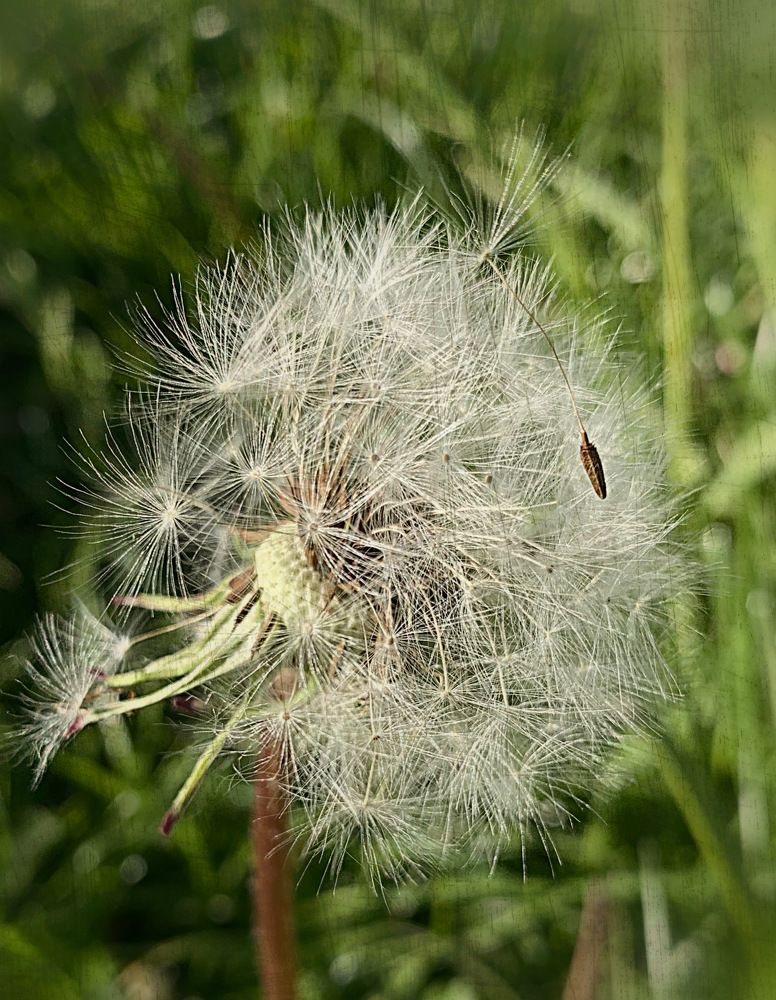 Photograph by Елена Киселева