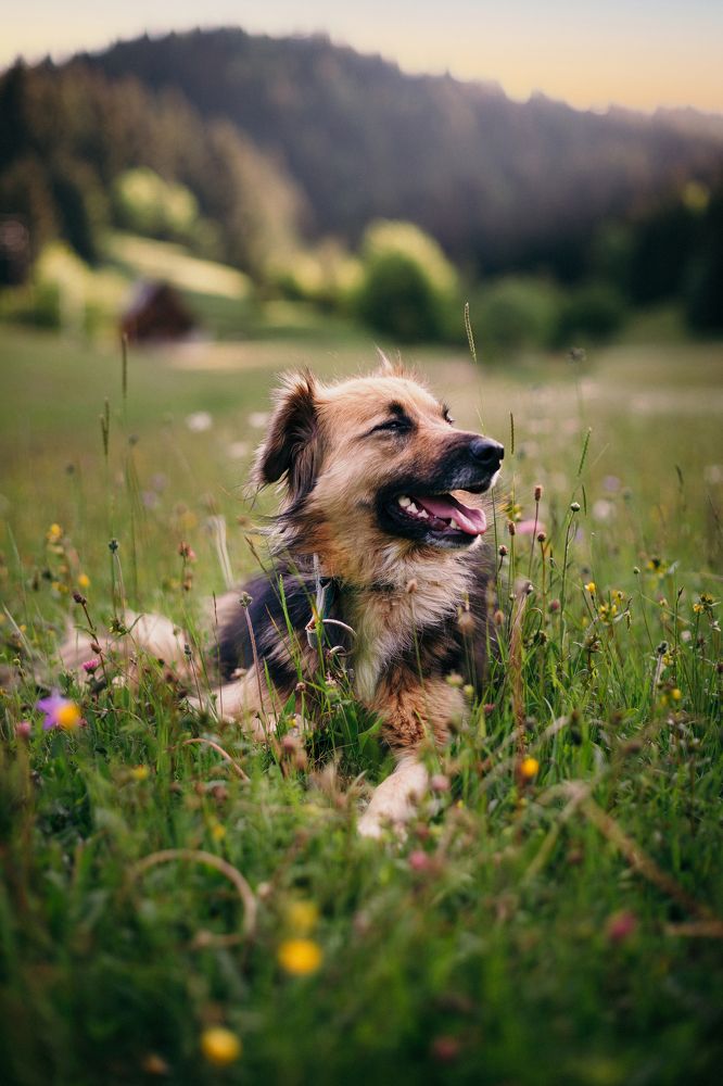 Photograph by Demir Pepic