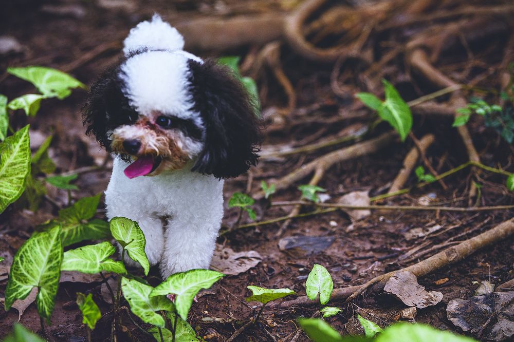 Photograph by Ngọc Vân (Helena Vân) Nguyễn