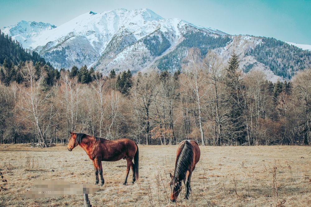Фотография автора OXANA MARSOVA