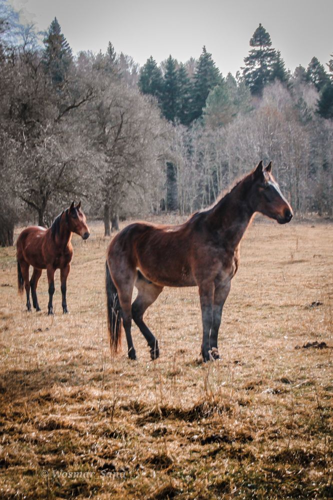 Фотография автора OXANA MARSOVA