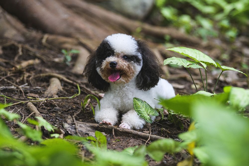 Photograph by Ngọc Vân (Helena Vân) Nguyễn