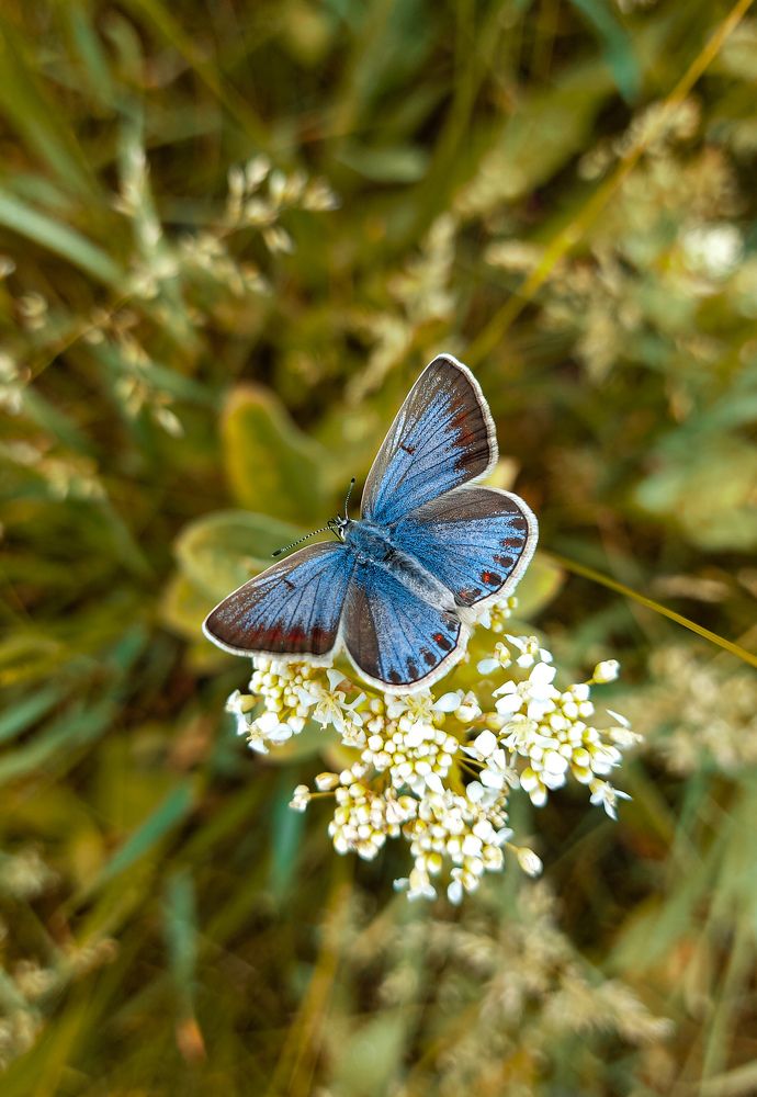 Photograph by Марина Шамич