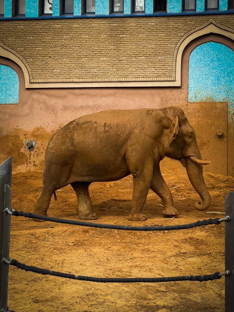 Photograph by Дарья Гурьева