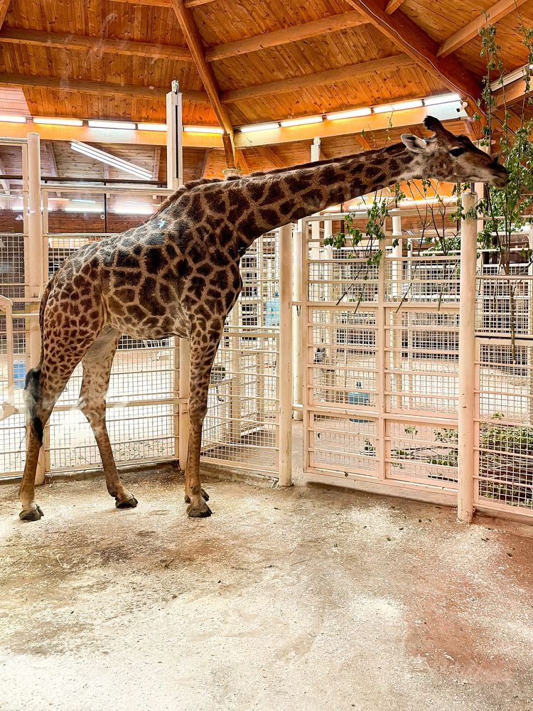 Photograph by Дарья Гурьева