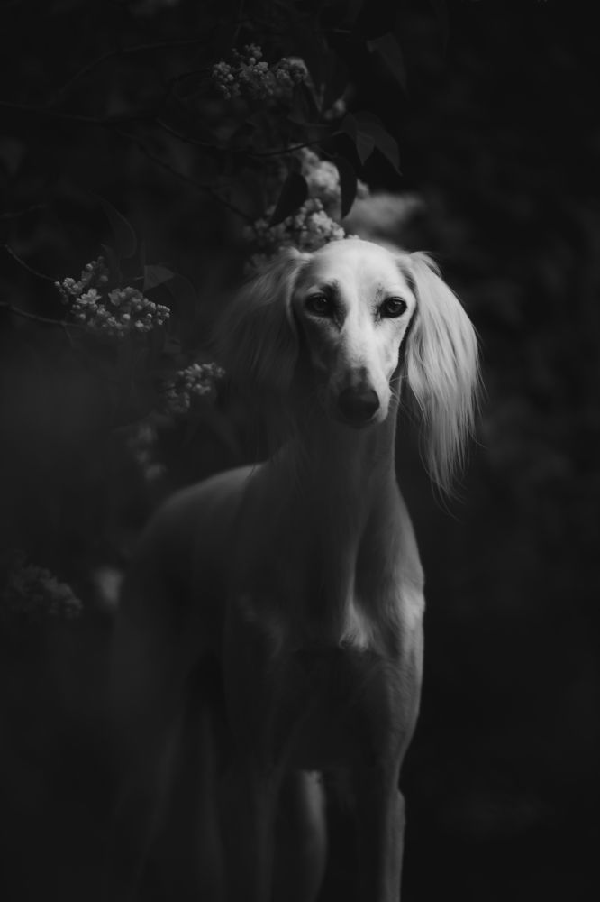 Photograph by Agnieszka Wieczorek