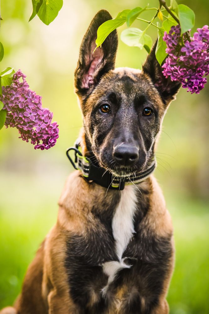 Photograph by Agnieszka Wieczorek