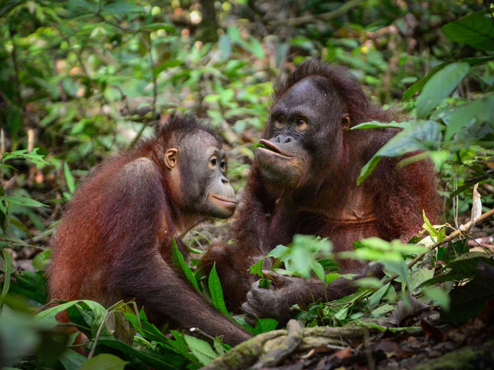 Photograph by Raffi Akbar