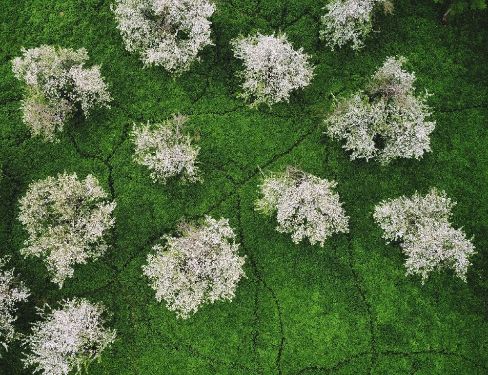 Photograph by Ирина Малина