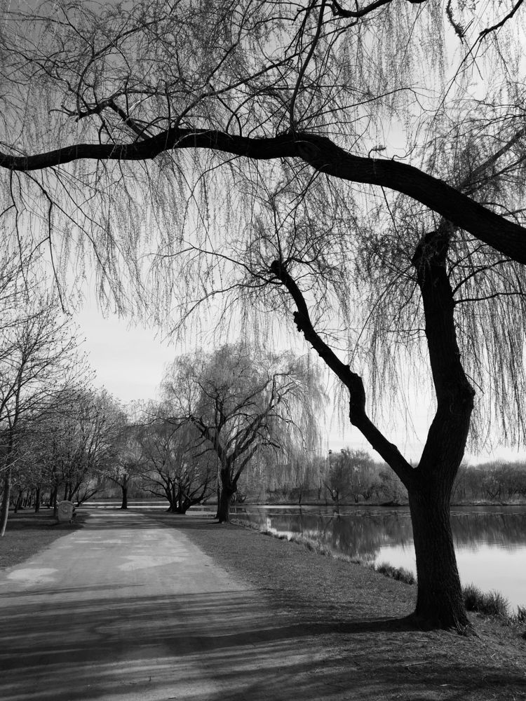 Photograph by Владимир Воложинский