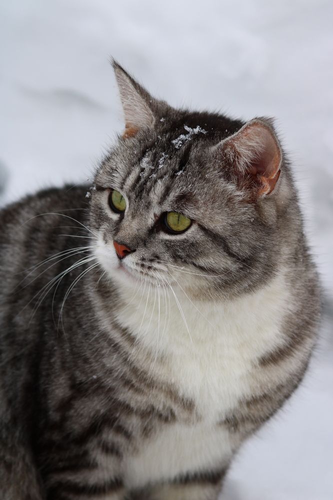 Photograph by Светлана Шуткова