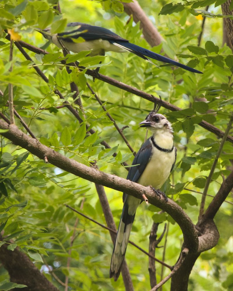 Фотография автора Марина Алексеевская