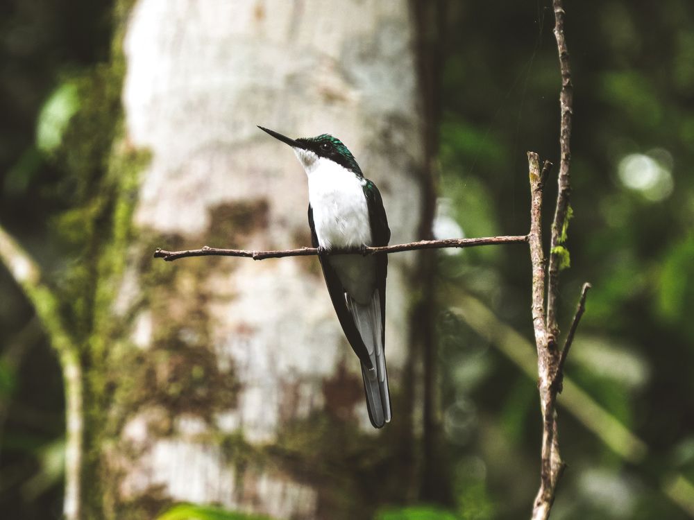 Фотография автора Марина Алексеевская
