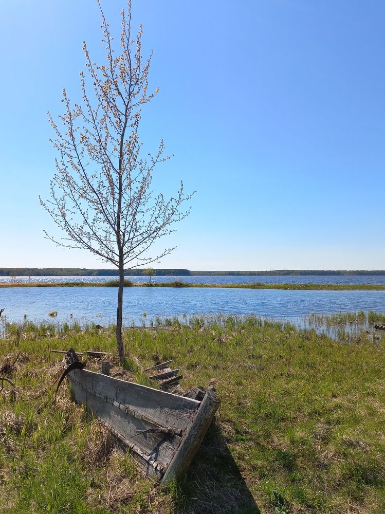 Photograph by Зоя Кулько