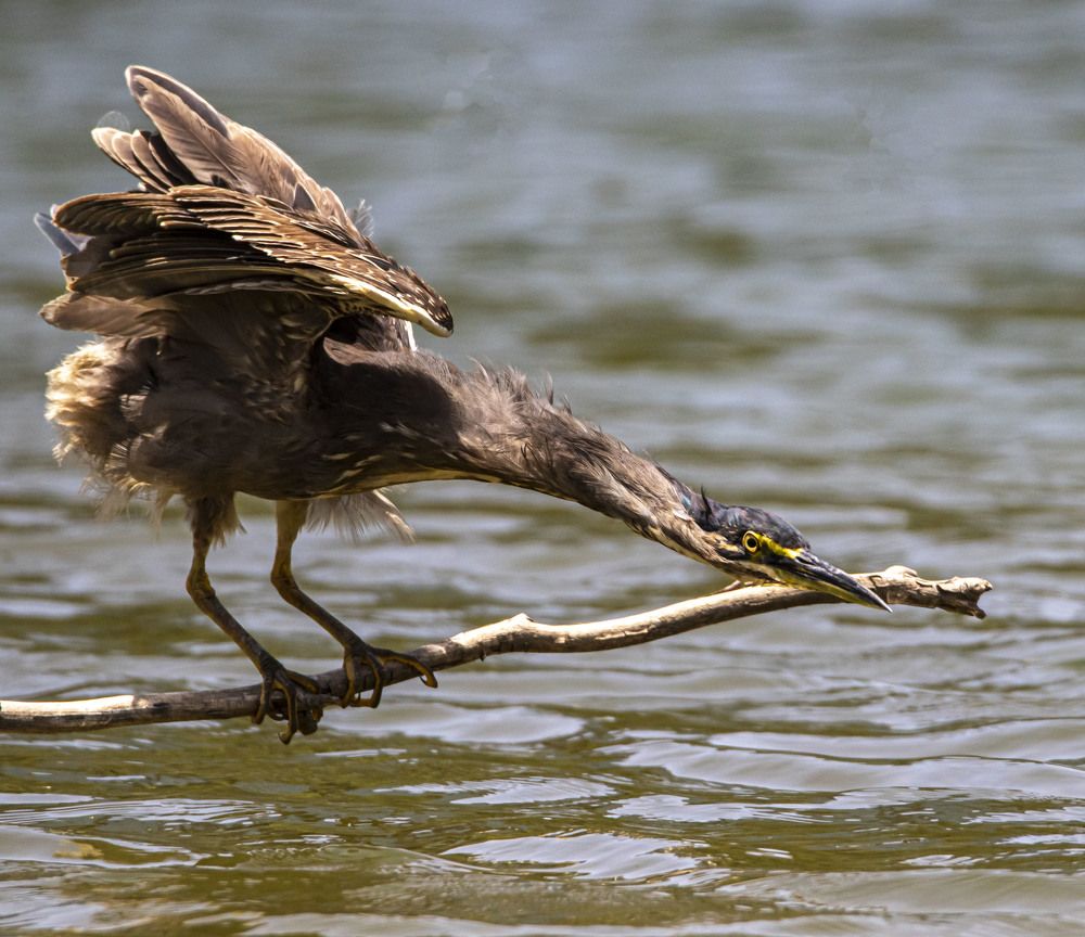 Photograph by Валентина Лопаткина