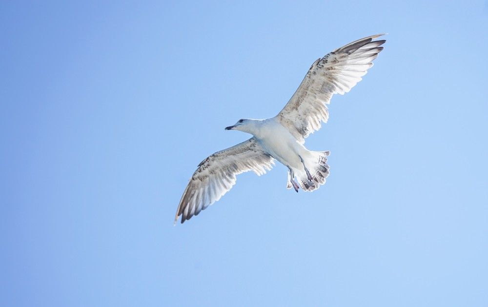 Photograph by Антонина Вишневская