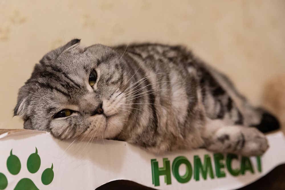 Photograph by Андрей