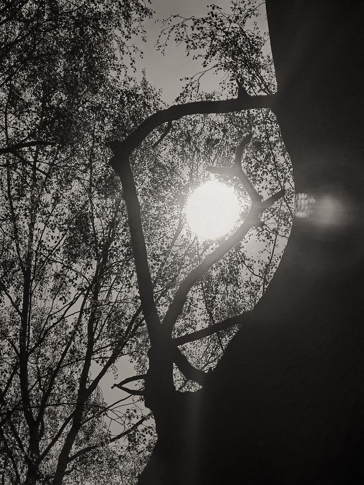 Photograph by Алена Игоревна Курбатова