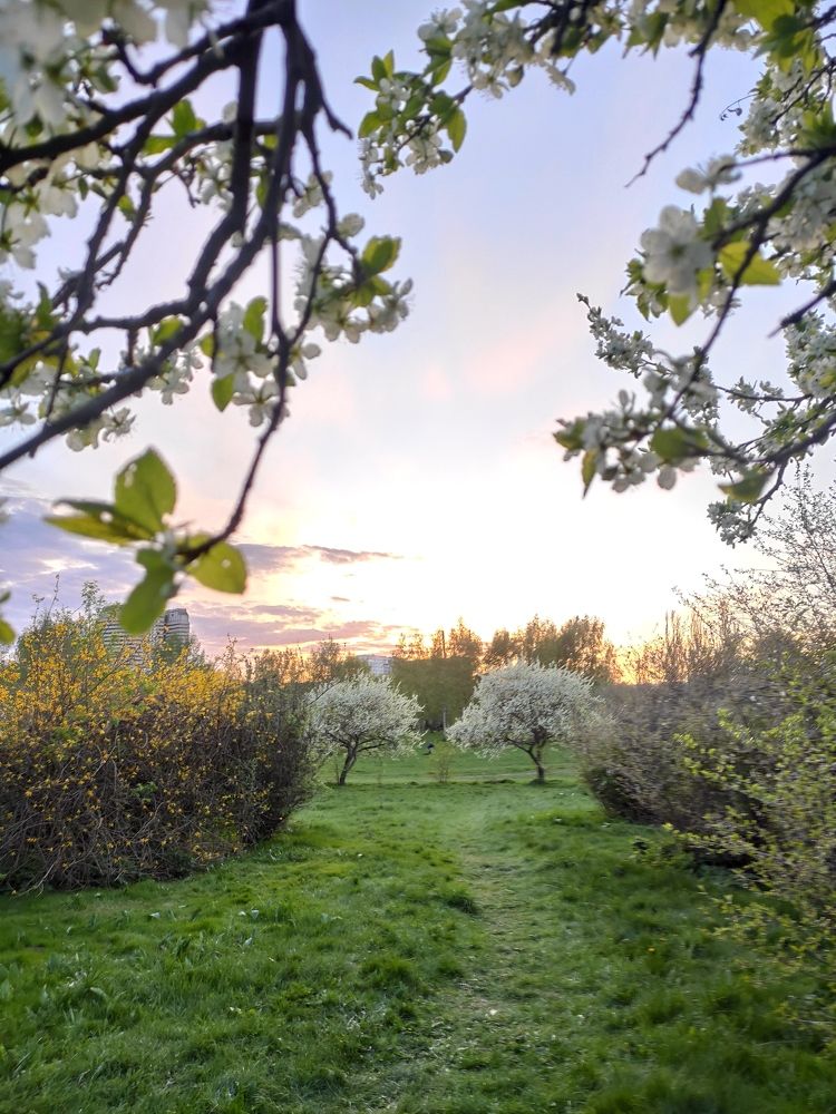 Photograph by Акамова Людмила
