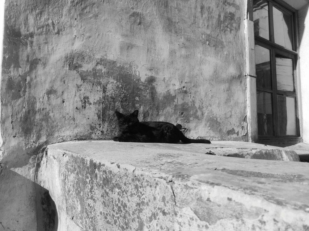 Photograph by Саттарова Ирина