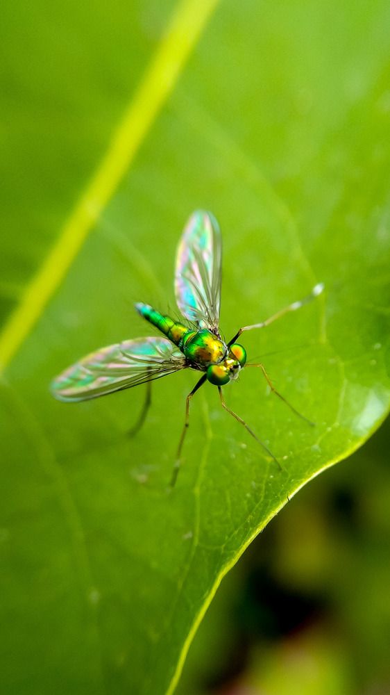 Photograph by Sachin Kamble
