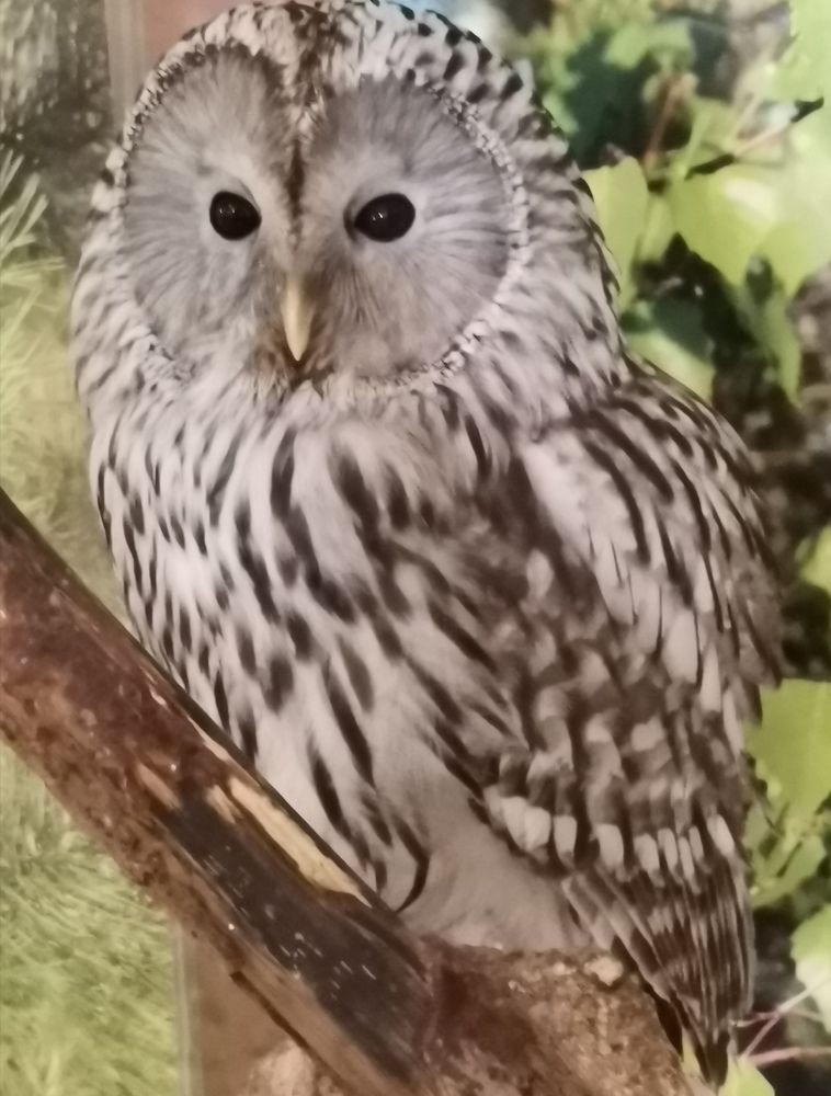 Photograph by Оксана Николаева