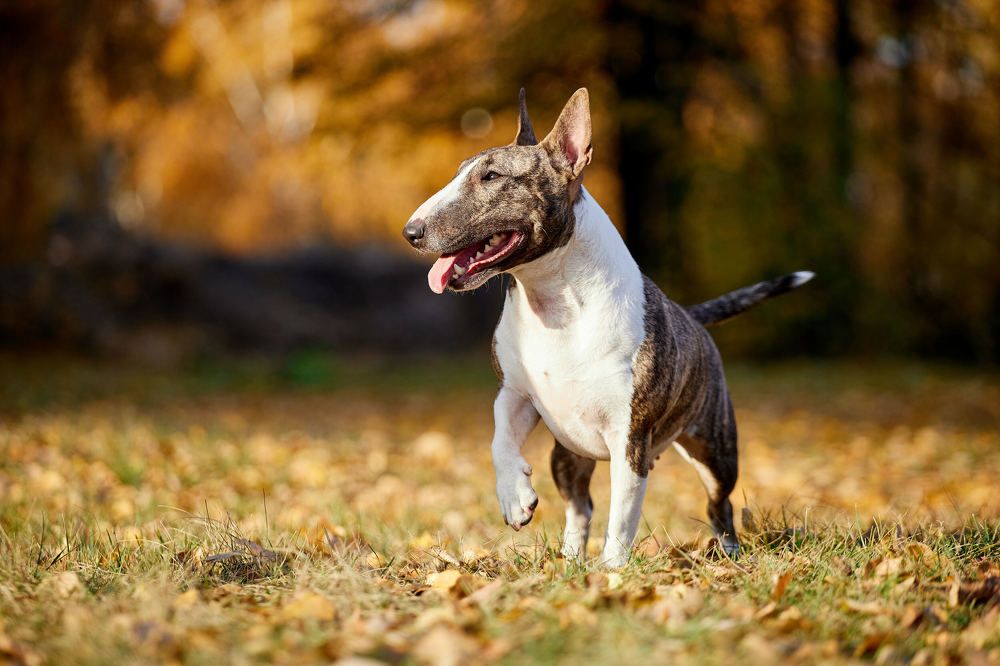 Photograph by Константин Кузнецов