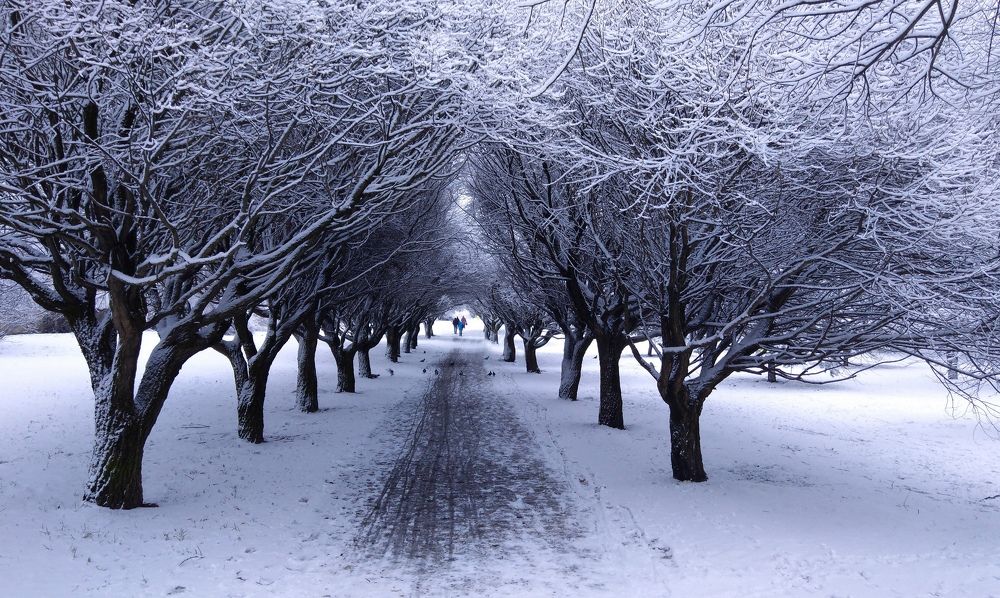 Photograph by Cергей Иванов