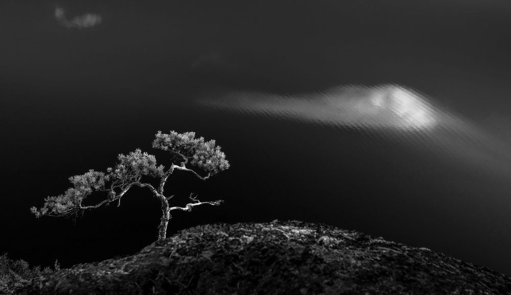 Photograph by Игорь Шерман