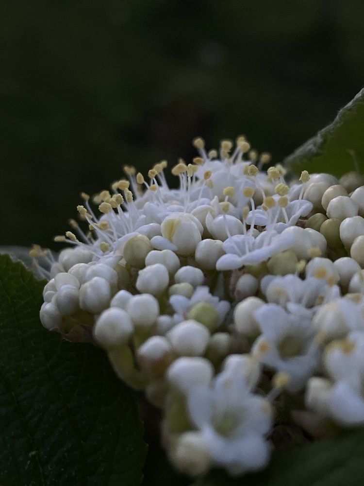 Photograph by Марина Толстопятова