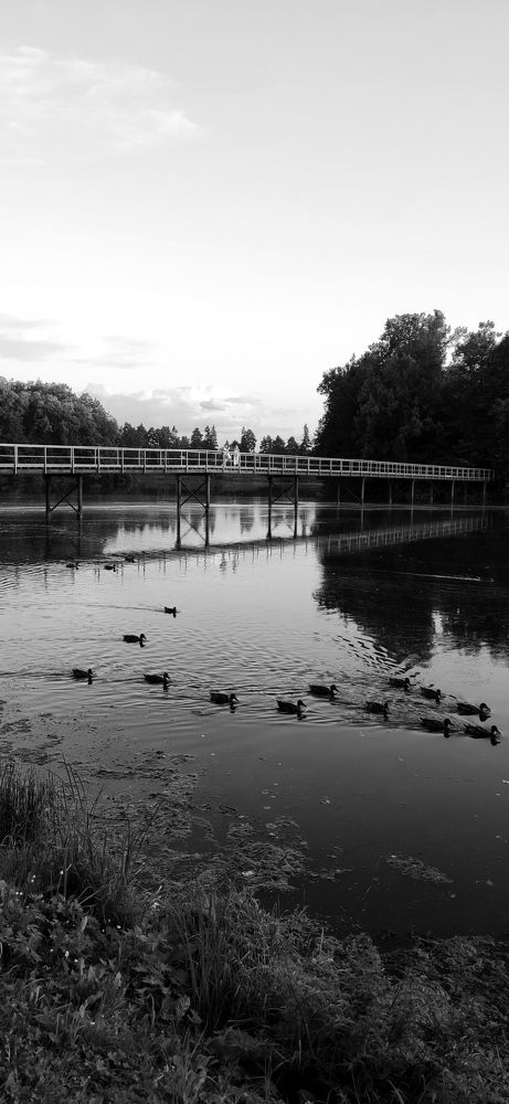 Photograph by Акамова Людмила