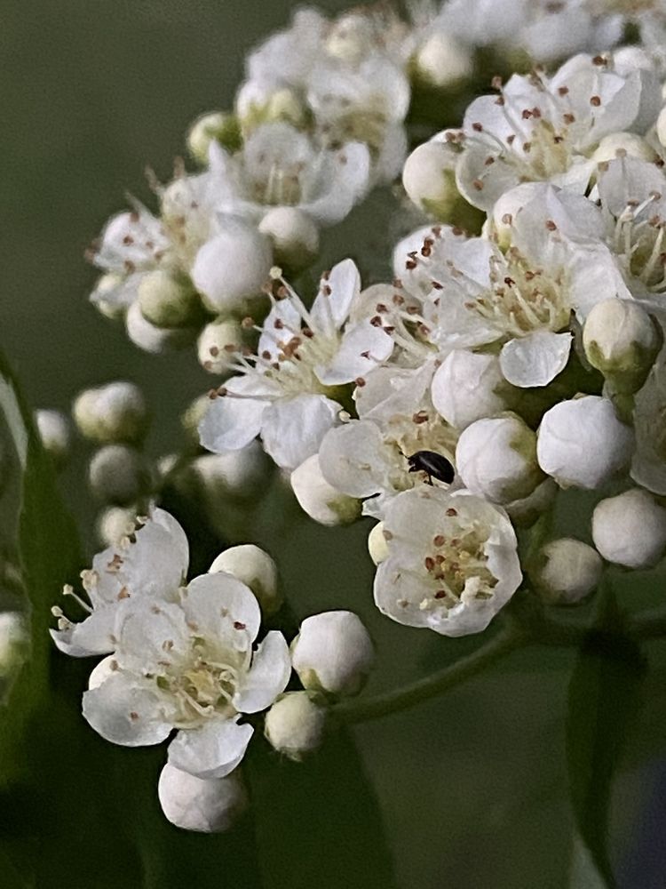 Photograph by Марина Толстопятова