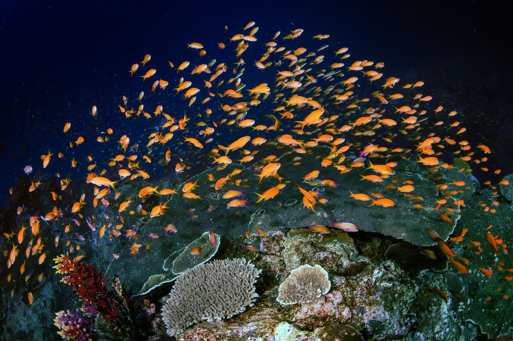 Photograph by HITOMI TSUCHIYA