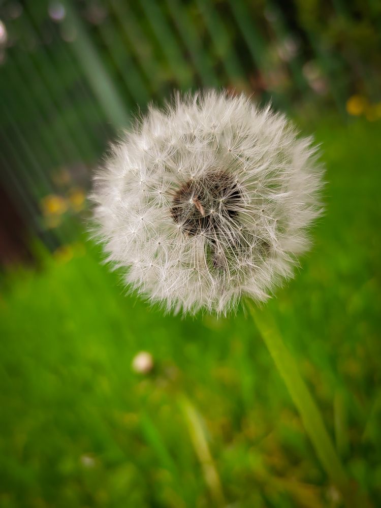 Photograph by Екатерина Слепнева