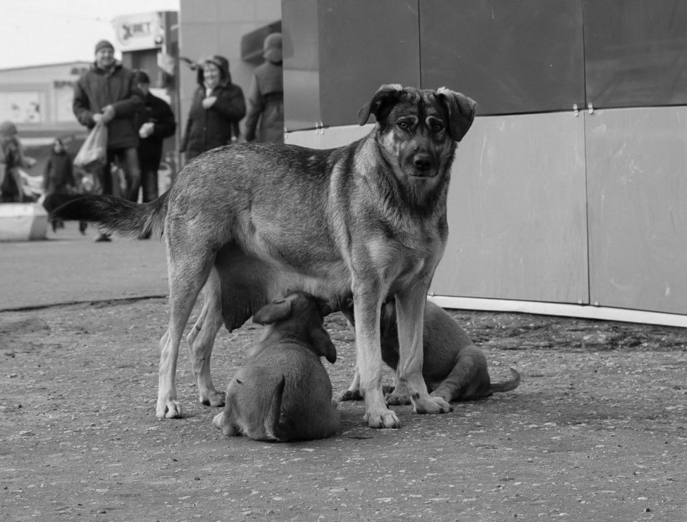 Photograph by Елена Миронова