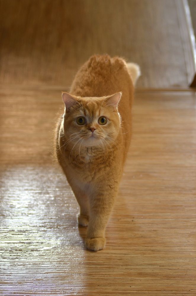 Photograph by Ирина Хламова