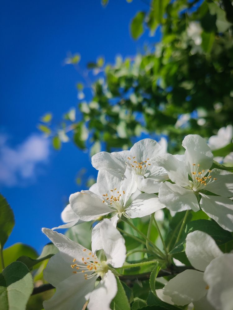 Photograph by Анатолий Буянов