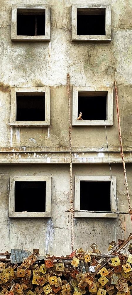 Фотография автора SANJAY BOSE