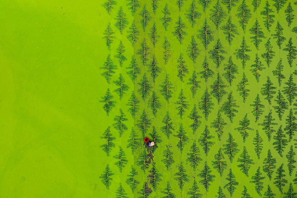 Photograph by Dinh Phong