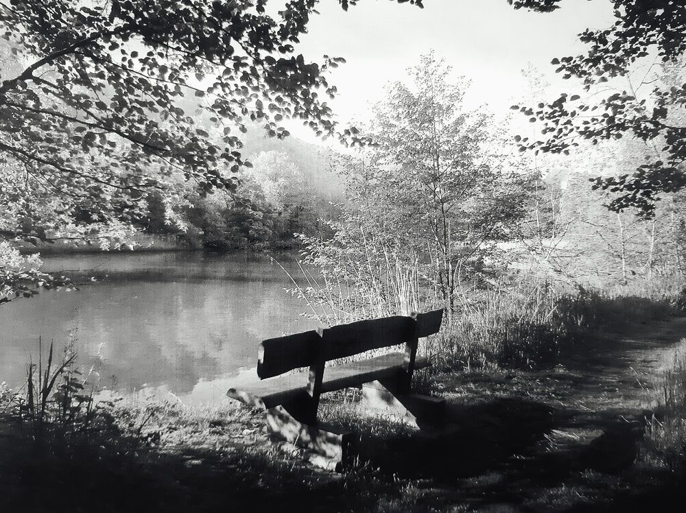 Photograph by Александр Лопатин