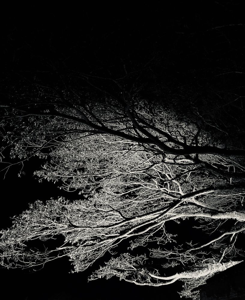 Photograph by Pavith Malaka Senarathne