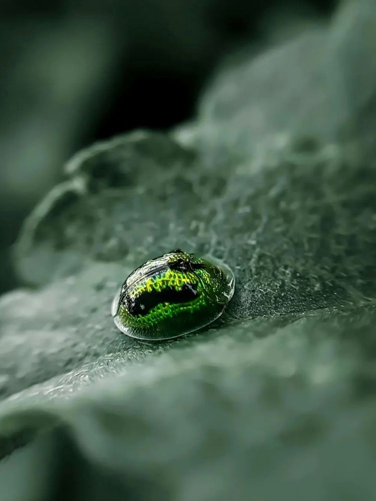 Photograph by Reshma B S