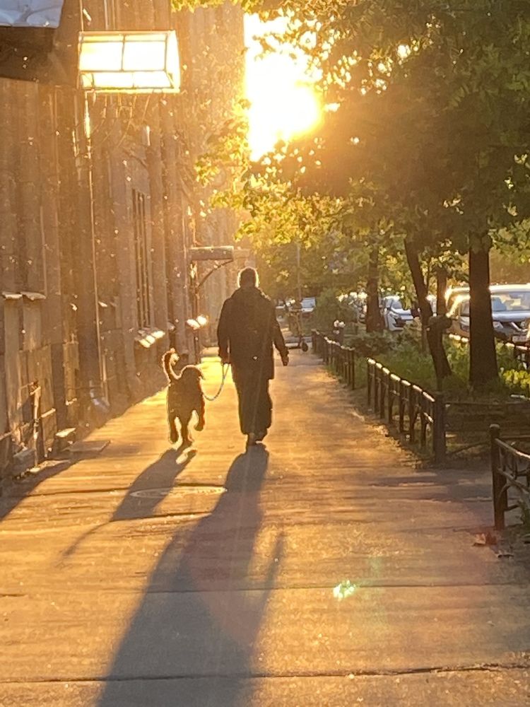 Photograph by Юлия Дерябкина