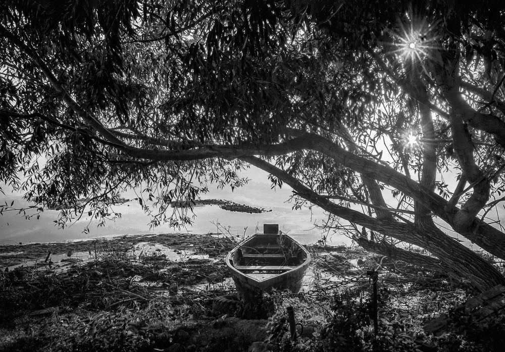 Photograph by Нина Будникова