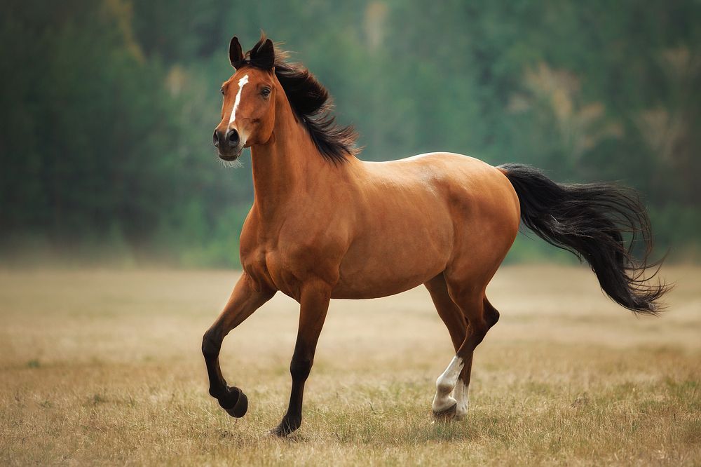 Photograph by Дарья Ералева