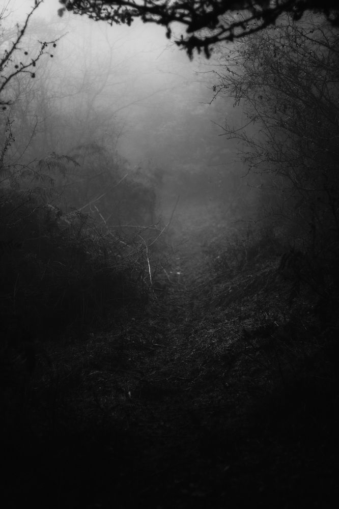 Photograph by Atefe.afshon